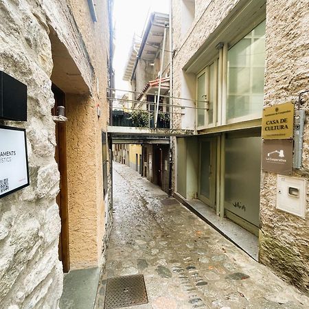 Apartamento Duplex En El Corazon De Camprodon, La Rovira Eksteriør bilde